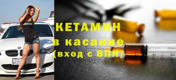 прущие грибы Новозыбков