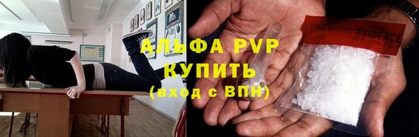 MESCALINE Елизово
