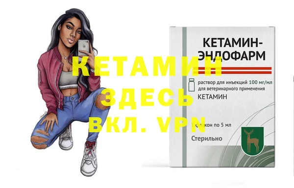 прущие грибы Новозыбков