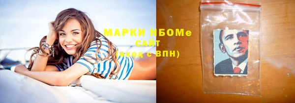 прущие грибы Новозыбков
