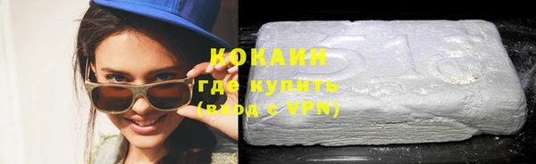 прущие грибы Новозыбков