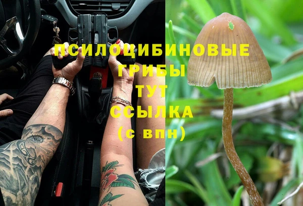 марки lsd Ельня