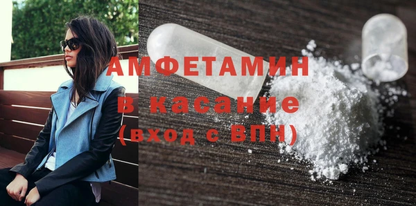 прущие грибы Новозыбков