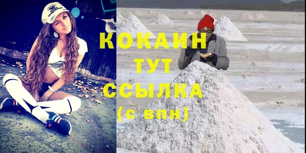 прущие грибы Новозыбков