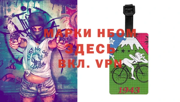 шишки Кондопога