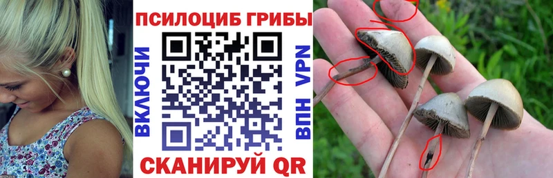 Псилоцибиновые грибы GOLDEN TEACHER Пустошка