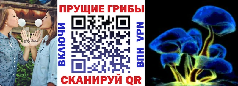 Псилоцибиновые грибы мухоморы  цена   Пустошка 